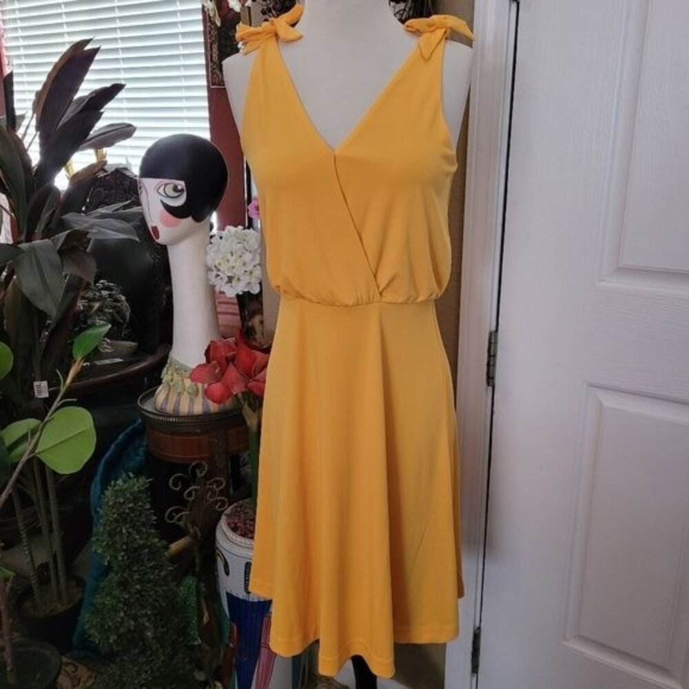 Women's Easter Dress Faux Wrap Career Work Ann Taylor XS Bows Cottage Core Beach